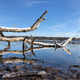 Eagle Creek Park